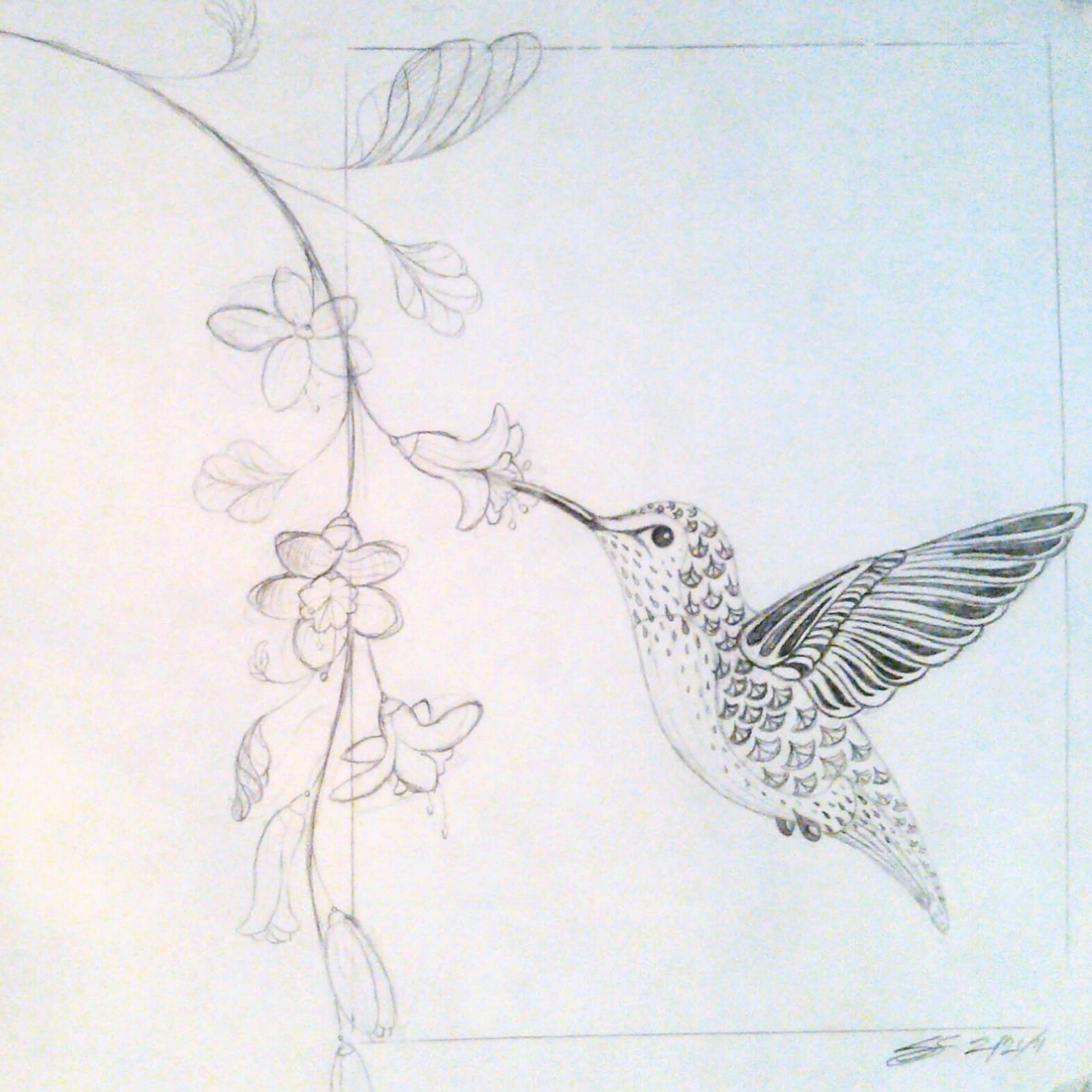 The Ellusive Hummingbird Shalom Schultz Designs